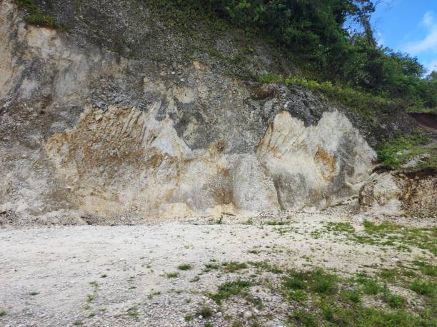 istock Calcareous slope in Costa Rica 1484974823