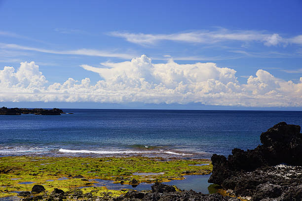 istock landscape of Green Island 148497875