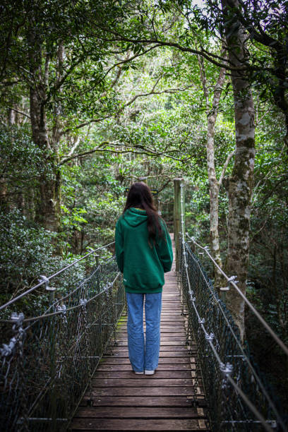 istock Treetop walkway girl 1484984618