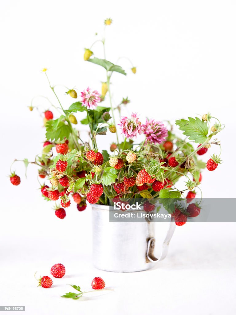 Bouquet of wild strawberries Bouquet of wild strawberries on white background Berry Fruit Stock Photo