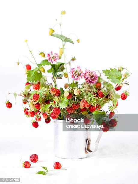 Bouquet Of Wild Strawberries Stock Photo - Download Image Now - Berry Fruit, Bouquet, Cup