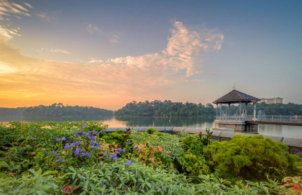 Beautiful sunset at MacRitchie Reservoir