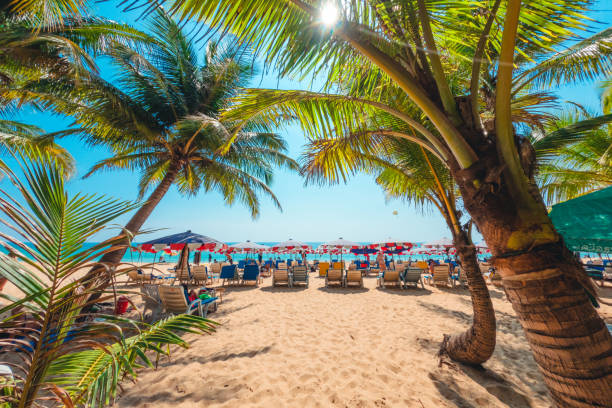 istock Coconut trees on island beach and summer vacation 1484991296