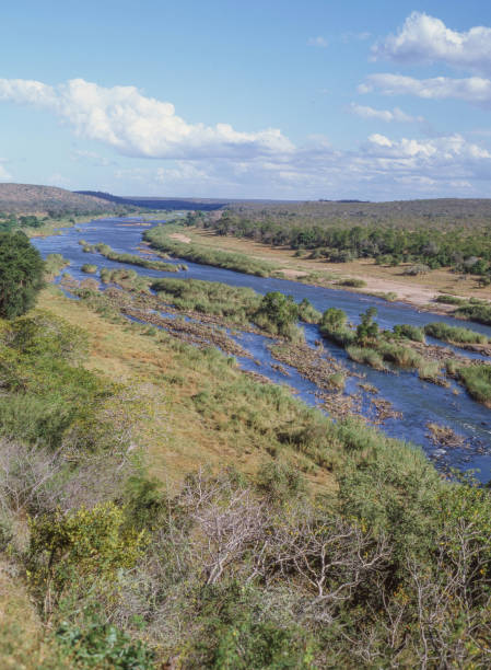 The Olifants River In Kruger National Park, South Africa.