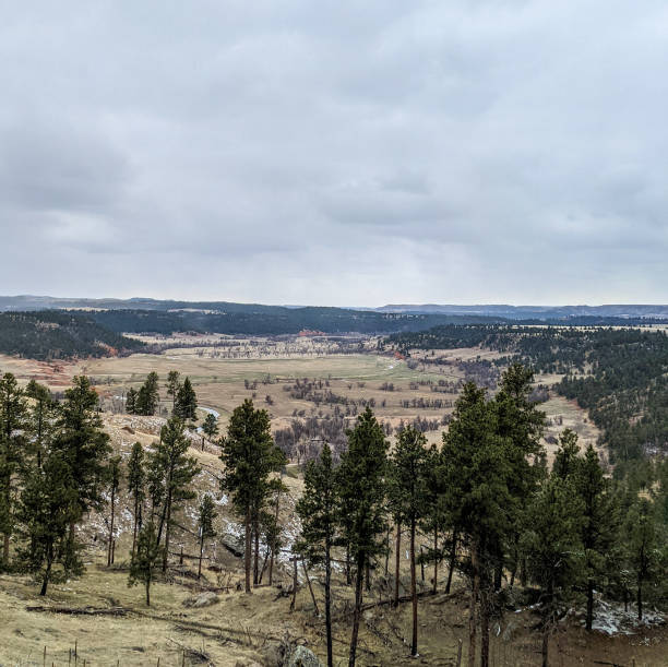 istock Aerial View in Wyoming 1485003848