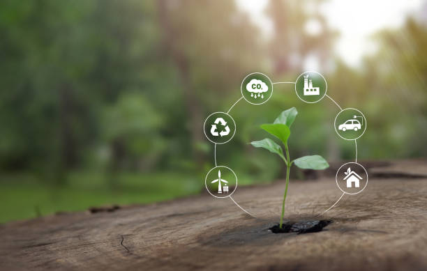 istock Carbon dioxide, reduce CO2 emission, carbon footprint concept. Renewable energy, climate change and global warming.Sustainable development. 1485004151