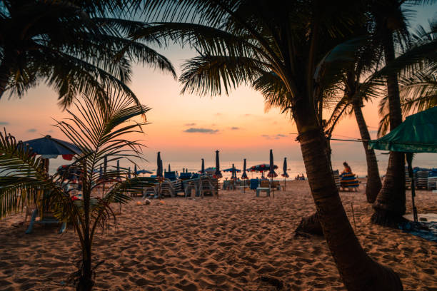 istock Evening beach,Coconut trees on island beach and summer vacation 1485006180