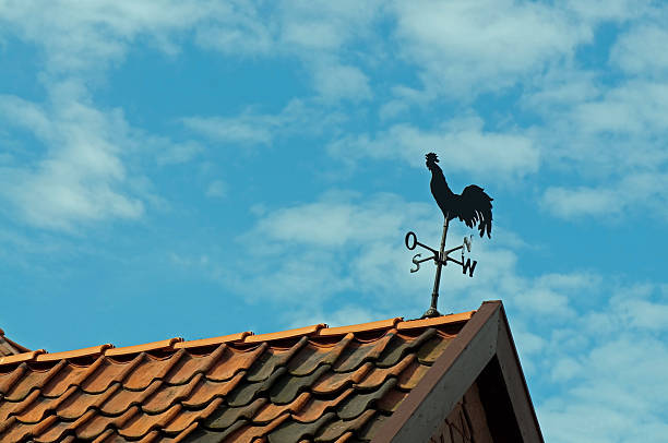 cata-vento - roof roof tile rooster weather vane imagens e fotografias de stock