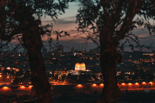Jerusalem Old Town Cityscape of Temple Mount and Jewish Quarter at Sunset Twilight - Night. Panoramic view between two trees in silhouette unsharp in the foreground. View towards the iconic illuminated Al-Aqsa Mosque Dome - Golden Dome of the Rock and Old Town City Wall. Jerusalem Old Town, Israel, Middle East.