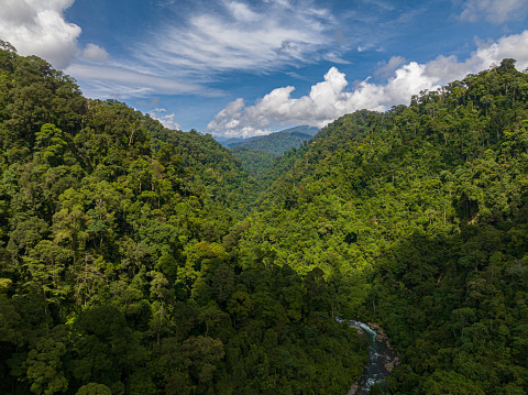 Aerial drone of mountain range and mountain slopes with rainforest. Bukit Lawang. Sumatra, Indonesia.