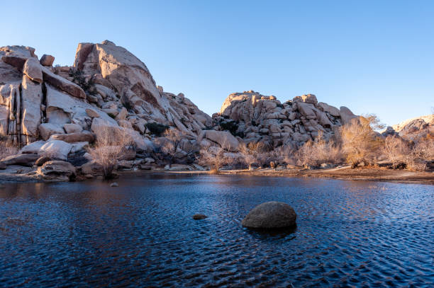 istock Barkers Dam in Joshua Tree National Park 1485015226