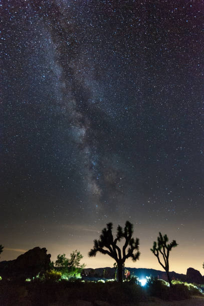 istock The Milky Way over Joshua Tree National Park 1485015412
