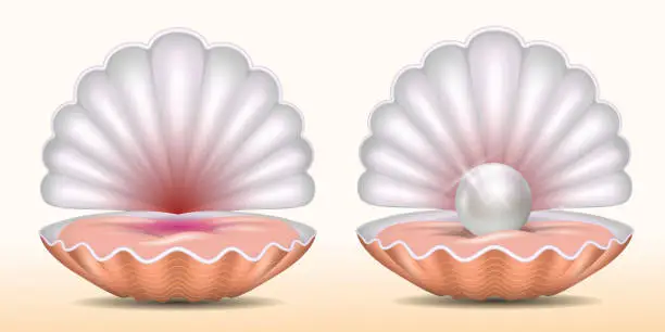 Vector illustration of set of realistic beautiful opened shell with pearl or opened sea shell with soft mollusk. eps vector