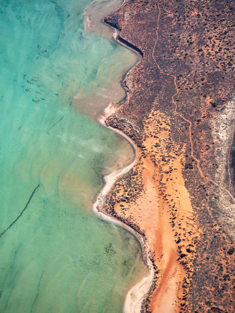 istock Aerial view of remote coastline 1485019227
