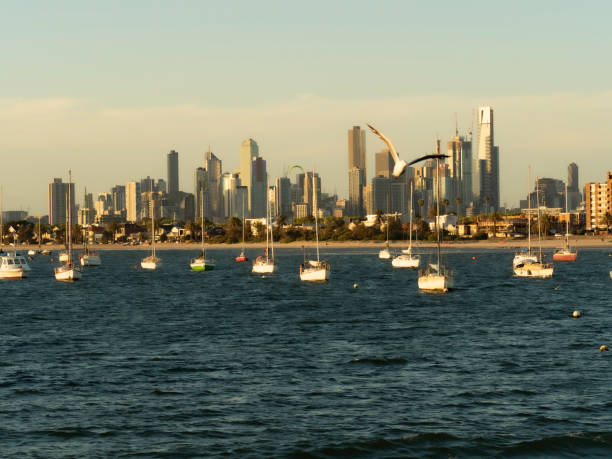 istock Urban skyline and bay 1485019870