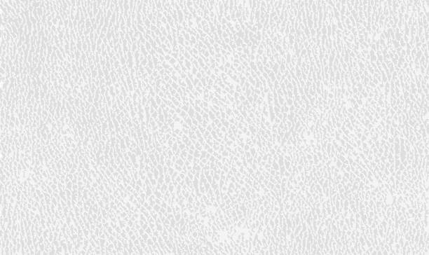 ilustraciones, imágenes clip art, dibujos animados e iconos de stock de fondo de textura de cuero blanco vectorial - piel