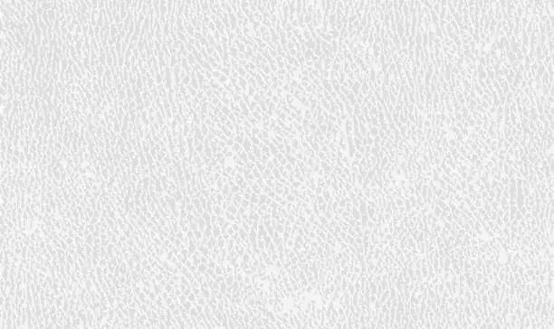 Vector illustration of Vector white leather texture background