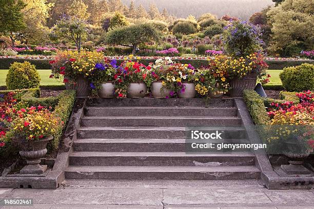 Vibrant Flowers In Planters On Stone Steps Butchart Gardens Stock Photo - Download Image Now