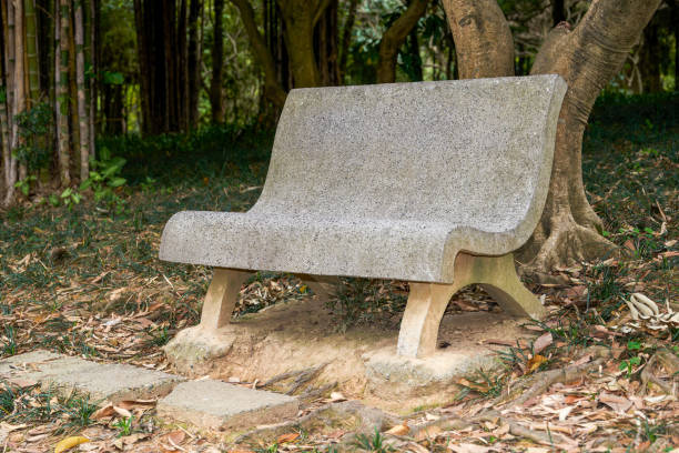 Close-up of a stone bench in a forest park