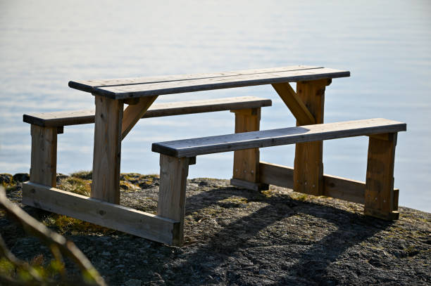istock resting area with wooden table and benches overlooking lake Vattern 1485026327