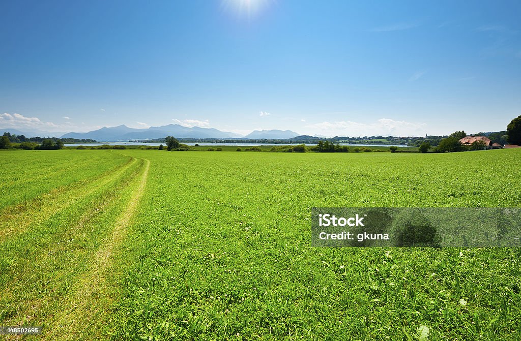 Meadow Rut on the Meadow near Bavarian Lake Chiemsee Agricultural Field Stock Photo