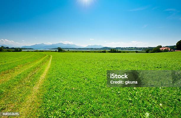 Meadow Stock Photo - Download Image Now - Agricultural Field, Agriculture, Bavaria