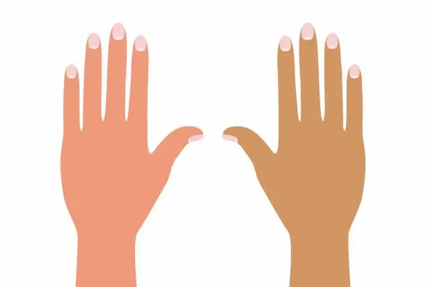 Vector illustration of Two hands, one black and one white. Isolated. Vector illustration.