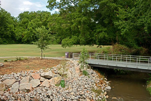 summer day. pedestrian bridge over green mill run creek, elm street park on east carolina universitys campus. greenville, north carolina - run of the mill imagens e fotografias de stock