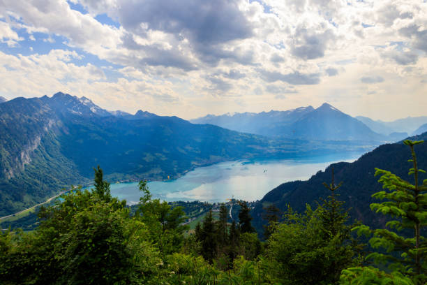 vista aérea de tirar o fôlego do lago thun e alpes suíços do ponto de vista de harder kulm, suíça - thun aerial view switzerland tree - fotografias e filmes do acervo