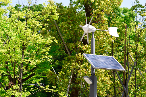 Solar and wind generators against springtime tree with copy space.