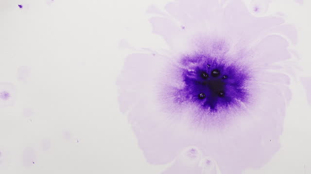 purple ink drops on wet paper