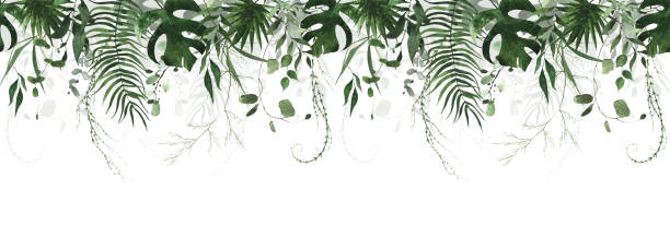 Watercolor jungle exotic greenery seamless border frame. Dark green exotic palm branches, monstera leaves, fern twigs. Watercolor hand painted jungle exotic greenery seamless border frame. Dark green exotic palm branches, monstera leaves, fern twigs. liana stock illustrations