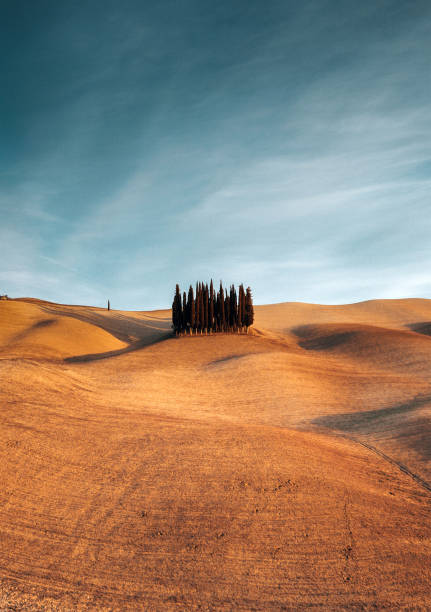 istock tuscany landscape at dusk 1485041339