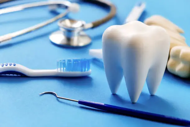 Dental model and dental equipment on blue background, Dentistry concept.