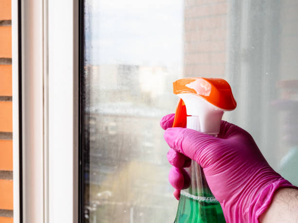 istock hand in glove holds bottle with washing liquid 1485046775