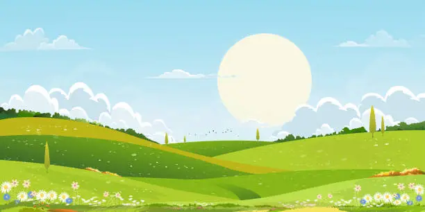 Vector illustration of Spring green fields landscape with sun over mountain,blue sky and clouds background,Panorama rural natural in springtime with green grass land. Cartoon vector illustration for spring and summer banner