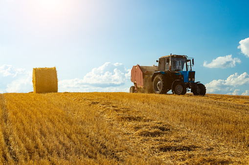 A tractor uses a trailed bale machine to collect straw in the field and make round large bales. Agricultural work, baling, baler, hay collection in the summer field.