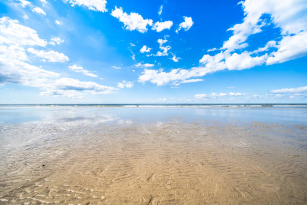 istock North Sea landscape 1485047814