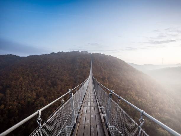 istock a metal walkway suspended above the trees in a forested forest area 1485048506