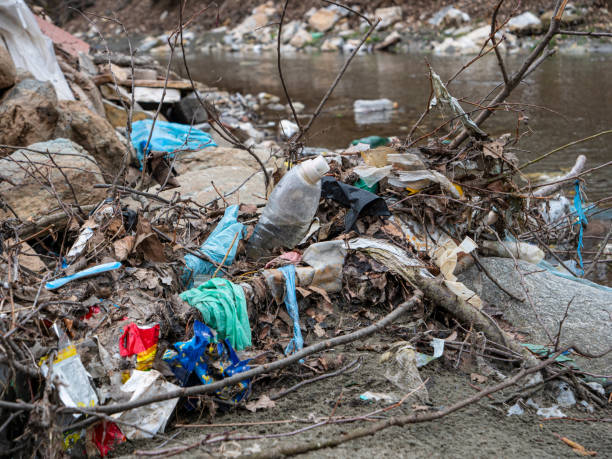 close up: rifiuti di plastica allagati e altri rifiuti saccheggiati sulla riva del fiume - pilled foto e immagini stock