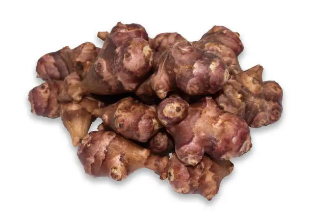 Jerusalem artichoke isolated on a white background with clipping path.