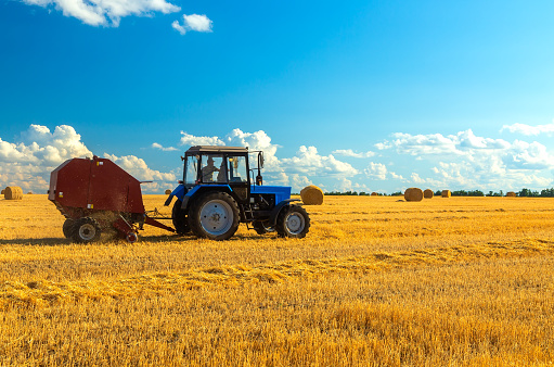A tractor uses a trailed bale machine to collect straw in the field and make round large bales. Agricultural work, baling, baler, hay collection in the summer field.