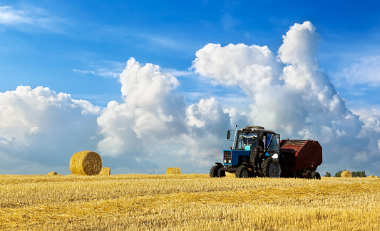 A tractor uses trailed bale machine to collect straw in the field and make round large bales. Agricultural work, baling, baler, hay collection in the summer field