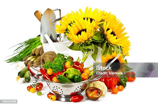 Foto de Harvest e mais fotos de stock de Agricultura - Agricultura, Alimentação Saudável, Amarelo