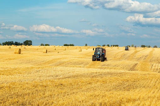 A tractor uses trailed bale machine to collect straw in the field and make round large bales. Agricultural work, baling, baler, hay collection in the summer field.