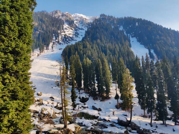 istock Kashmir Valley | Sindh River Flowing through Snow capped mountains 1485069277