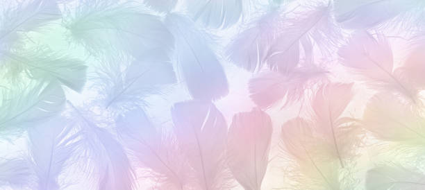 istock Beautiful delicate rainbow coloured fluffy feather background 1485069862