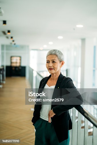 istock Exuding Confidence: A Chic Mature Asian Woman at Her Job 1485077010