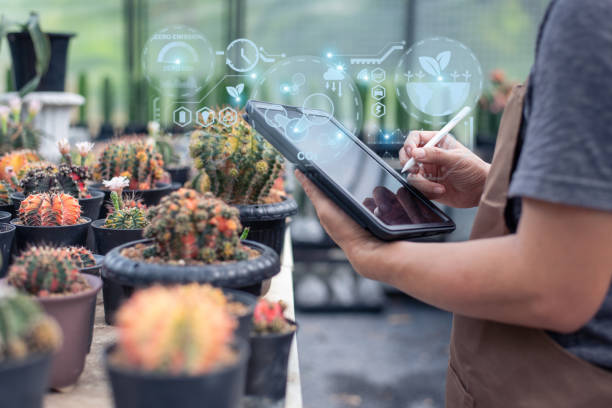 istock A farmer inspecting his plantation's quality with a tablet computer. using agricultural current technology in a smart way. Man farmer with a tablet computer who practices agronomy. 1485078185