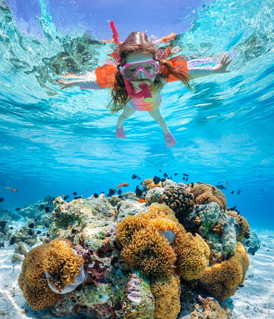 A little girl with waterwings snorkels over a colorful reef in the Indian Ocean with clownfish, Maldives islands